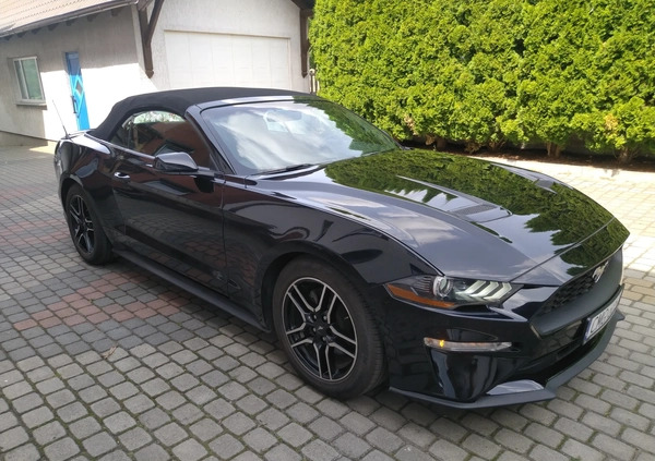 Ford Mustang cena 93000 przebieg: 100000, rok produkcji 2018 z Mogilno małe 326